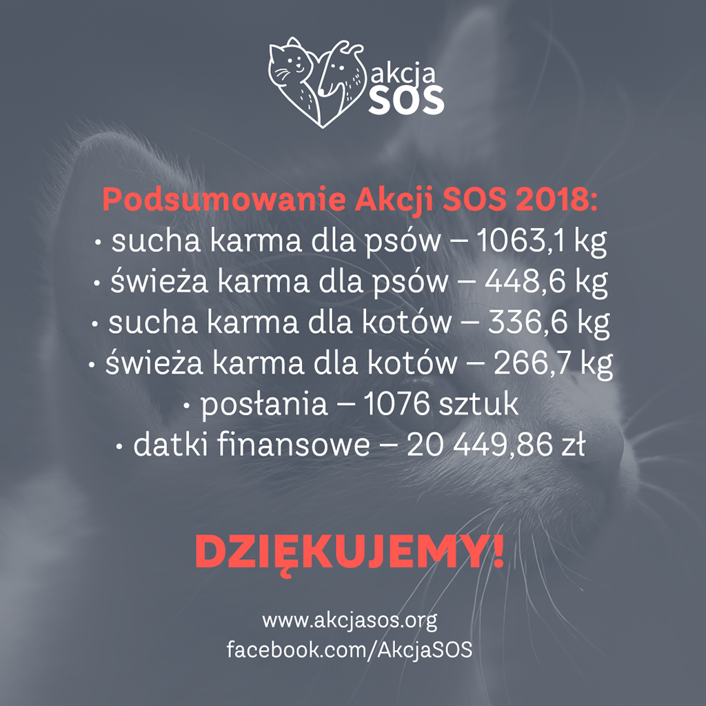 Podsumowanie Akcji SOS – Uczelnie Schroniskom 2018