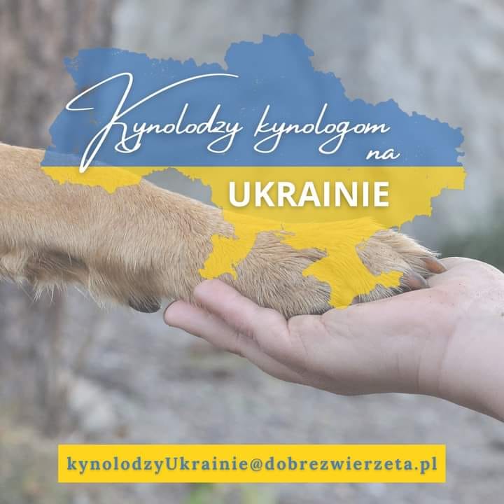 Pomoc-Ukrainie-zbiorka-zywności-dla-zwierzat-wywiezionych-z-Ukrainy